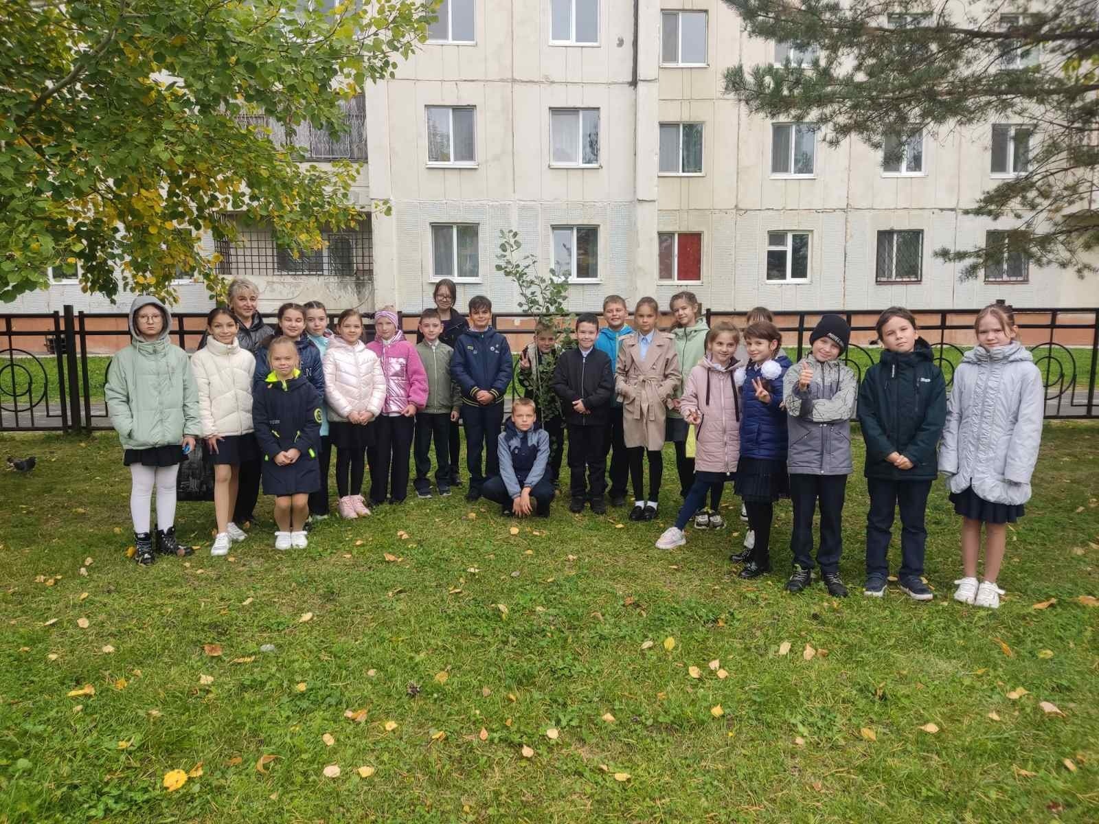 высадка деревьев 4в